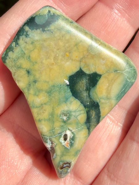 Rainforest Jasper Palm Stone - Morganna’s Treasures