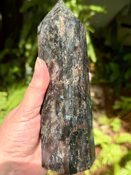 Stunning Large Astrophyllite Generator