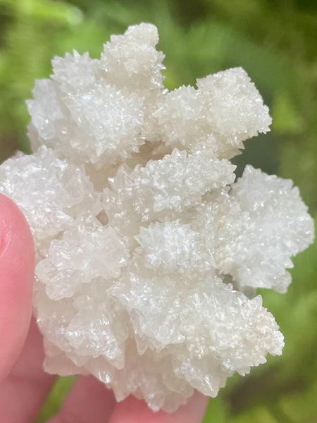 Fluorescent White Aragonite - Morganna’s Treasures 