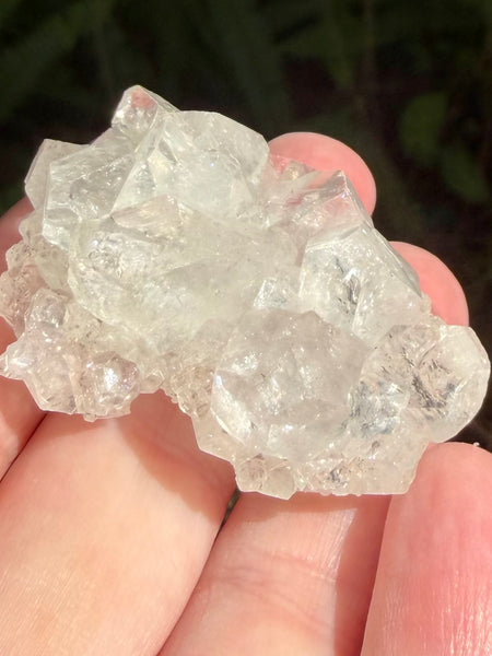 Apophyllite Cluster - Morganna’s Treasures