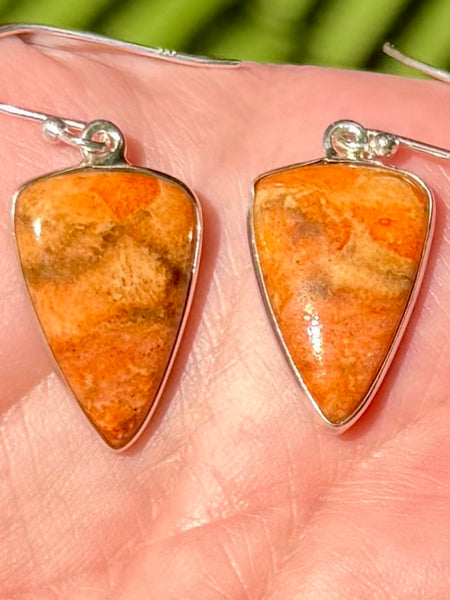 Coral Earrings