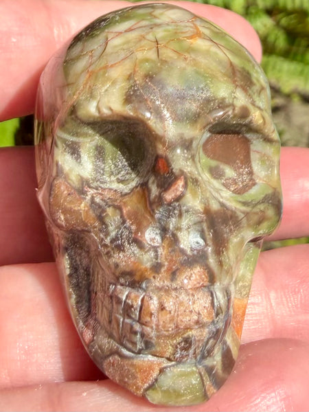 Money Agate Skull - Morganna’s Treasures