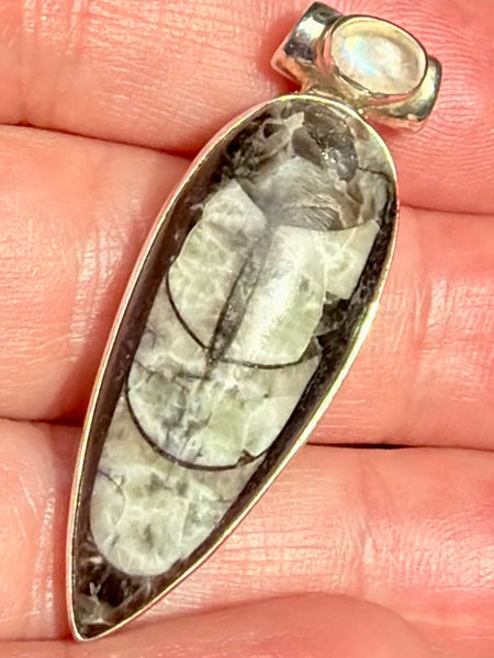 Gorgeous Orthoceras Fossil and Rainbow Moonstone Pendant - Morganna’s Treasures