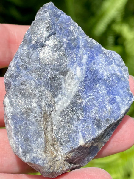 Large Rough Sodalite - Morganna’s Treasures 