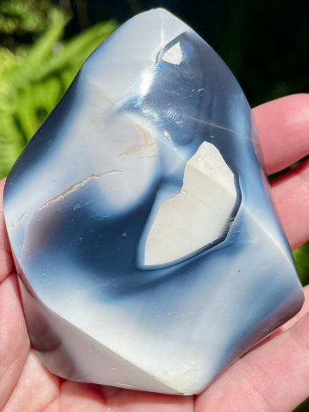 Orca Agate Flame - Morganna’s Treasures