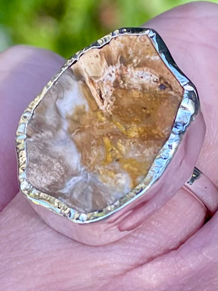 Rare Blue Forest Petrified Wood Ring Size 7 - Morganna’s Treasures