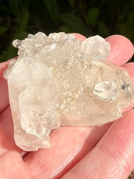 Apophyllite Cluster - Morganna’s Treasures