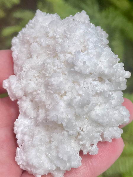 Fluorescent White Aragonite - Morganna’s Treasures 