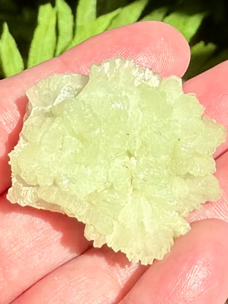 Prehnite Cluster