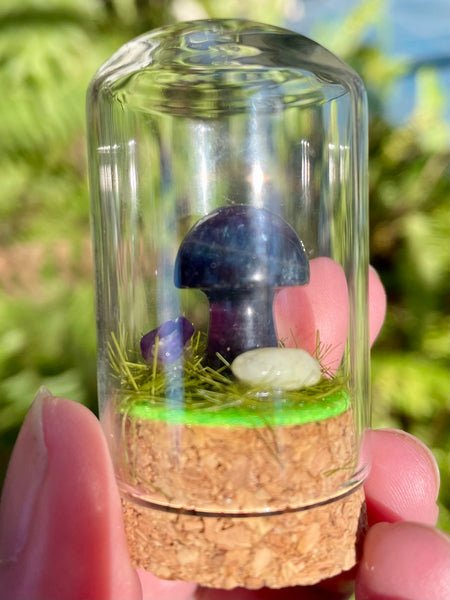 Fluorite Mushroom Terrarium