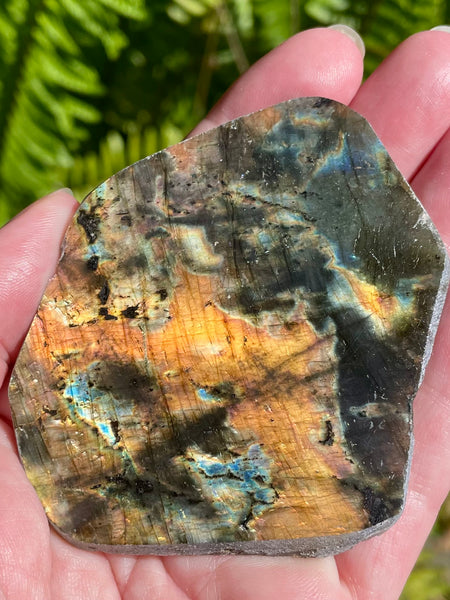 Gorgeous Labradorite Slab - Morganna’s Treasures 