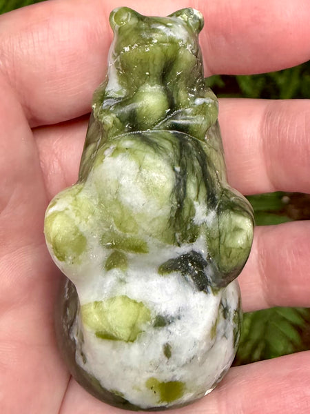 Serpentine Frog