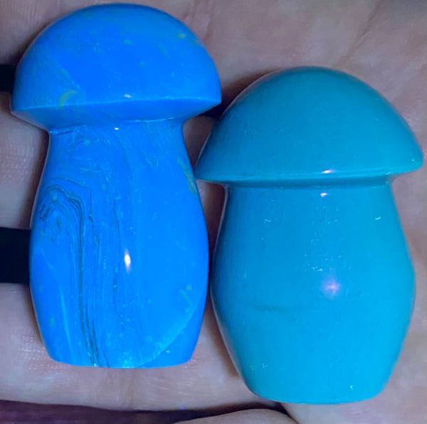 Fluorescent Blue Amber Mushroom - Morganna’s Treasures