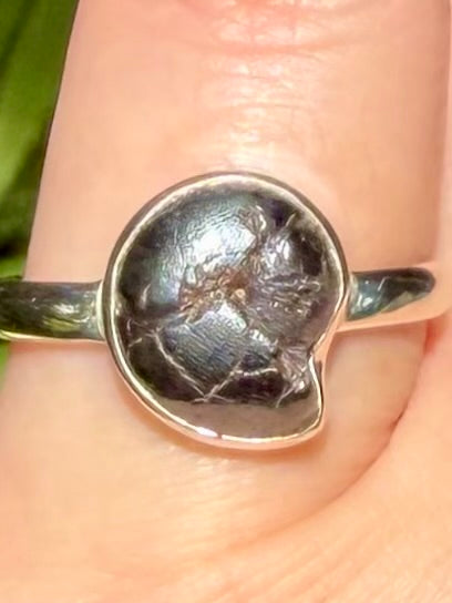 Rare Pyrite in Ammonite Ring Size 8