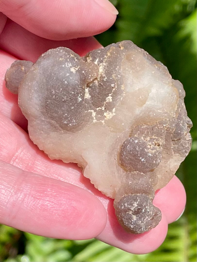 Botroyoidal Chalcedony Palm Stone - Morganna’s Treasures 