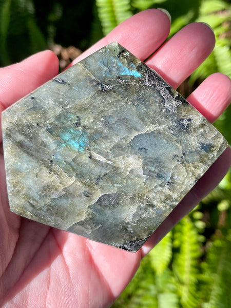 Labradorite Slab - Morganna’s Treasures