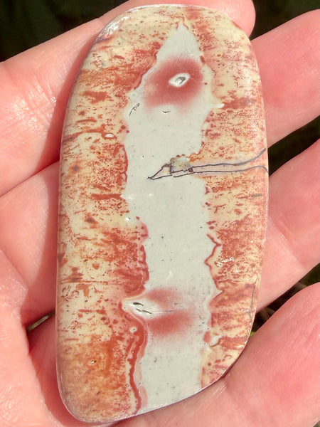 Rhyolite Palm Stone - Morganna’s Treasures