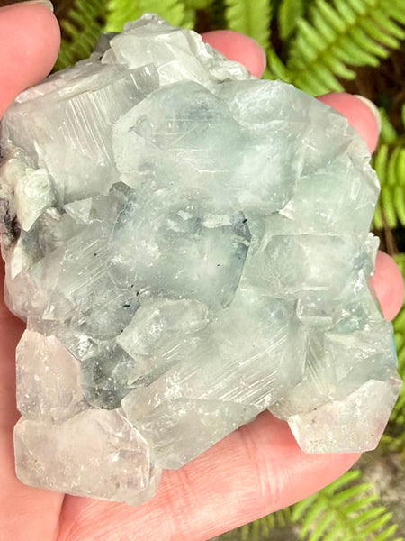 Apophyllite Cluster
