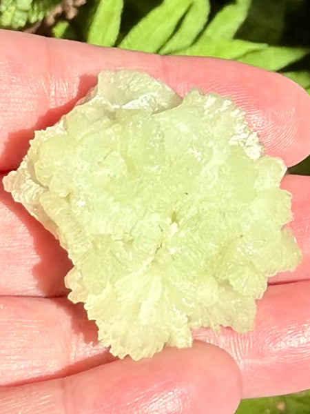 Prehnite Cluster