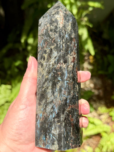 Stunning Large Astrophyllite Generator
