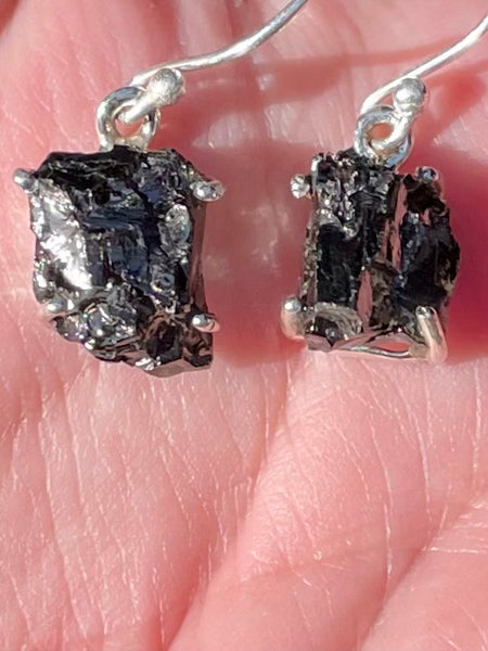 Rough Elite Russian Shungite Earrings - Morganna’s Treasures