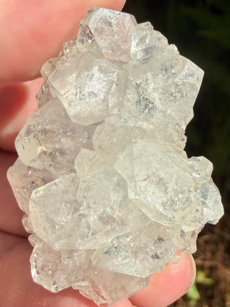Apophyllite Cluster - Morganna’s Treasures