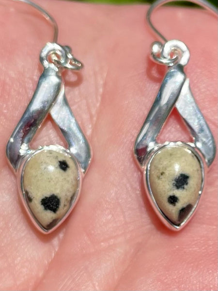 Dalmatian Jasper Earrings - Morganna’s Treasures 