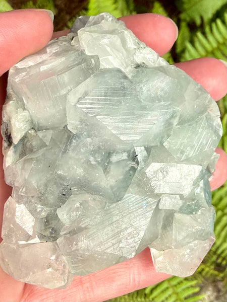 Apophyllite Cluster