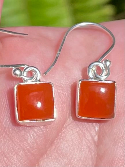 Carnelian Earrings - Morganna’s Treasures 