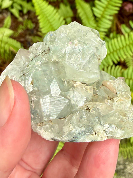 Apophyllite Cluster