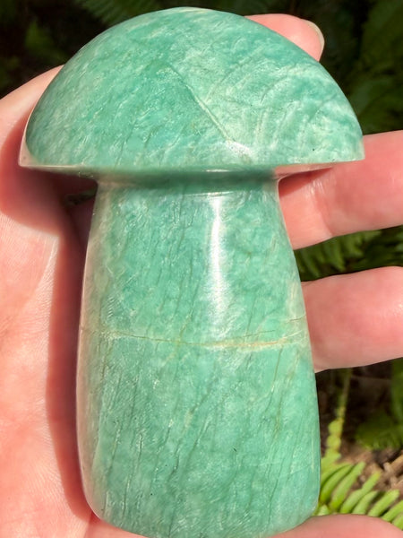 Stunning Amazonite Mushroom - Morganna’s Treasures