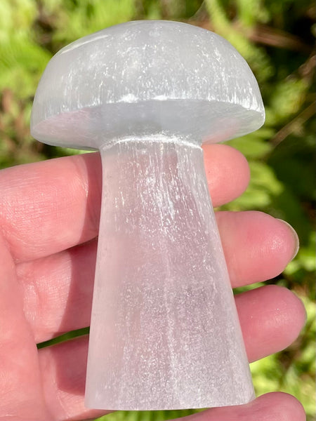 Selenite Mushroom