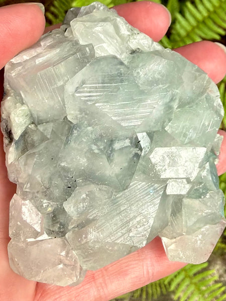Apophyllite Cluster