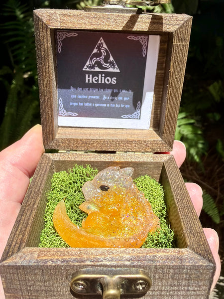 “Helios” Dragon Protector