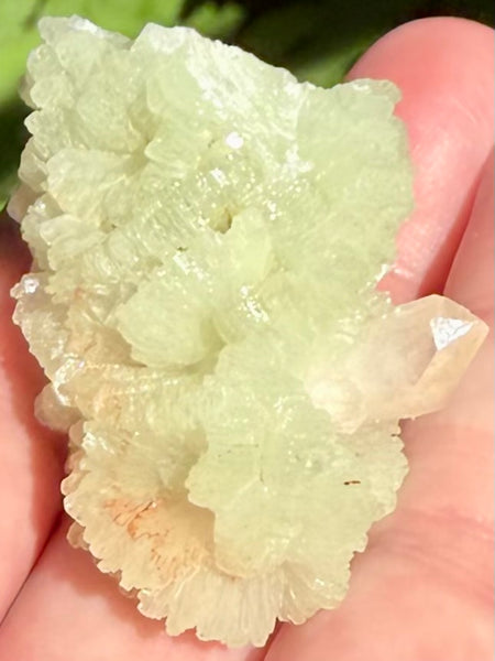 Prehnite Cluster