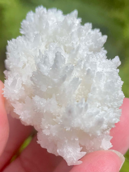 Fluorescent White Aragonite - Morganna’s Treasures 