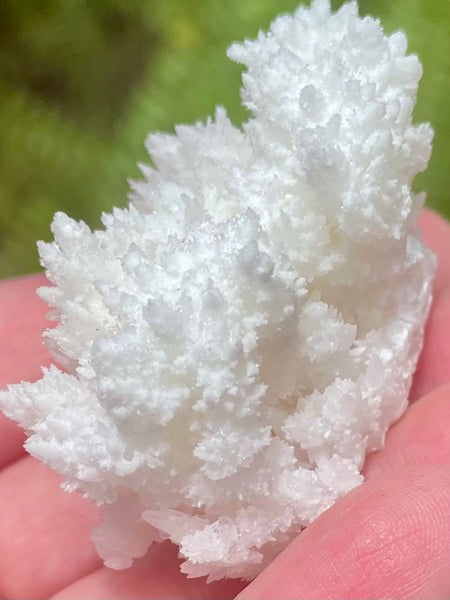 Fluorescent White Aragonite - Morganna’s Treasures 