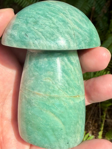 Stunning Amazonite Mushroom - Morganna’s Treasures