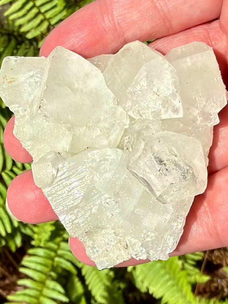 Apophyllite Cluster