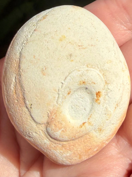 Fairy Stone - Morganna’s Treasures