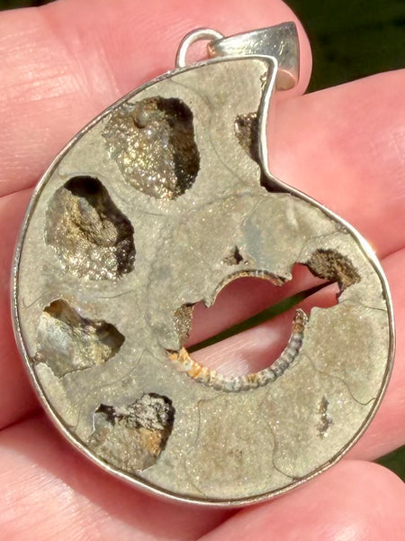 Fossil Quenstedtoceras Pyrite Ammonite Pendant - Morganna’s Treasures