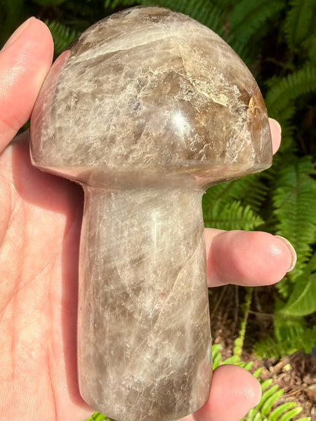 Gorgeous Smoky Quartz Mushroom - Morganna’s Treasures