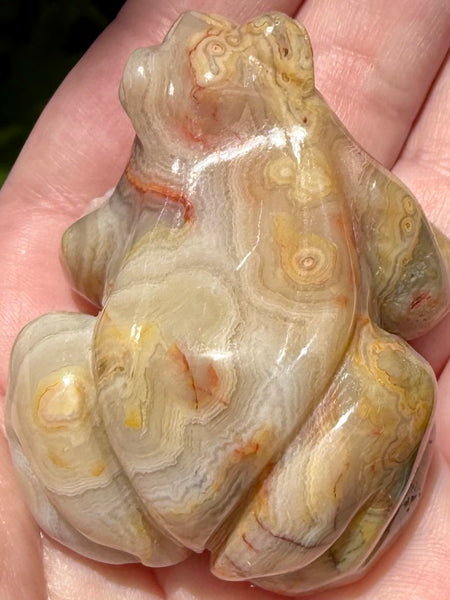 Crazy Lace Agate Frog - Morganna’s Treasures