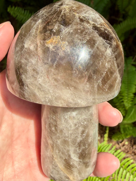 Gorgeous Smoky Quartz Mushroom - Morganna’s Treasures