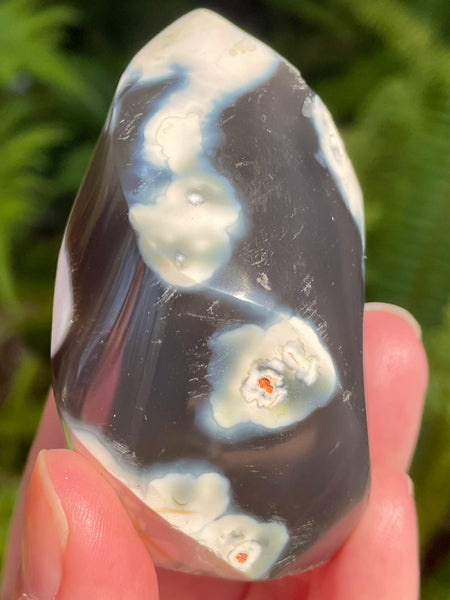 Orca Agate Flame - Morganna’s Treasures