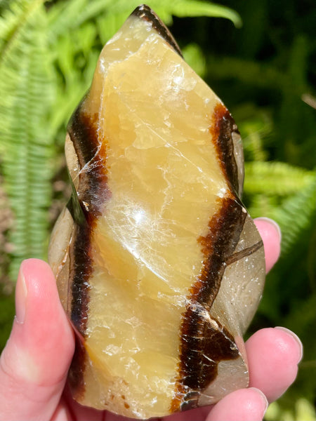 Septarian (Dragon's Stone) Flame - Morganna’s Treasures