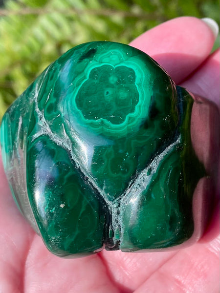 Beautiful Bulls Eye Malachite from Africa