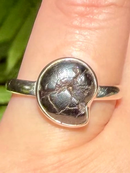 Rare Pyrite in Ammonite Ring Size 8