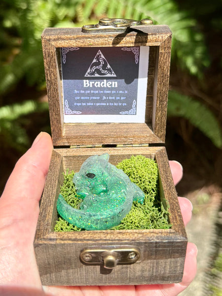 “Braden” Dragon Protector