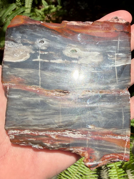 Gorgeous Cherry Creek Jasper Plate